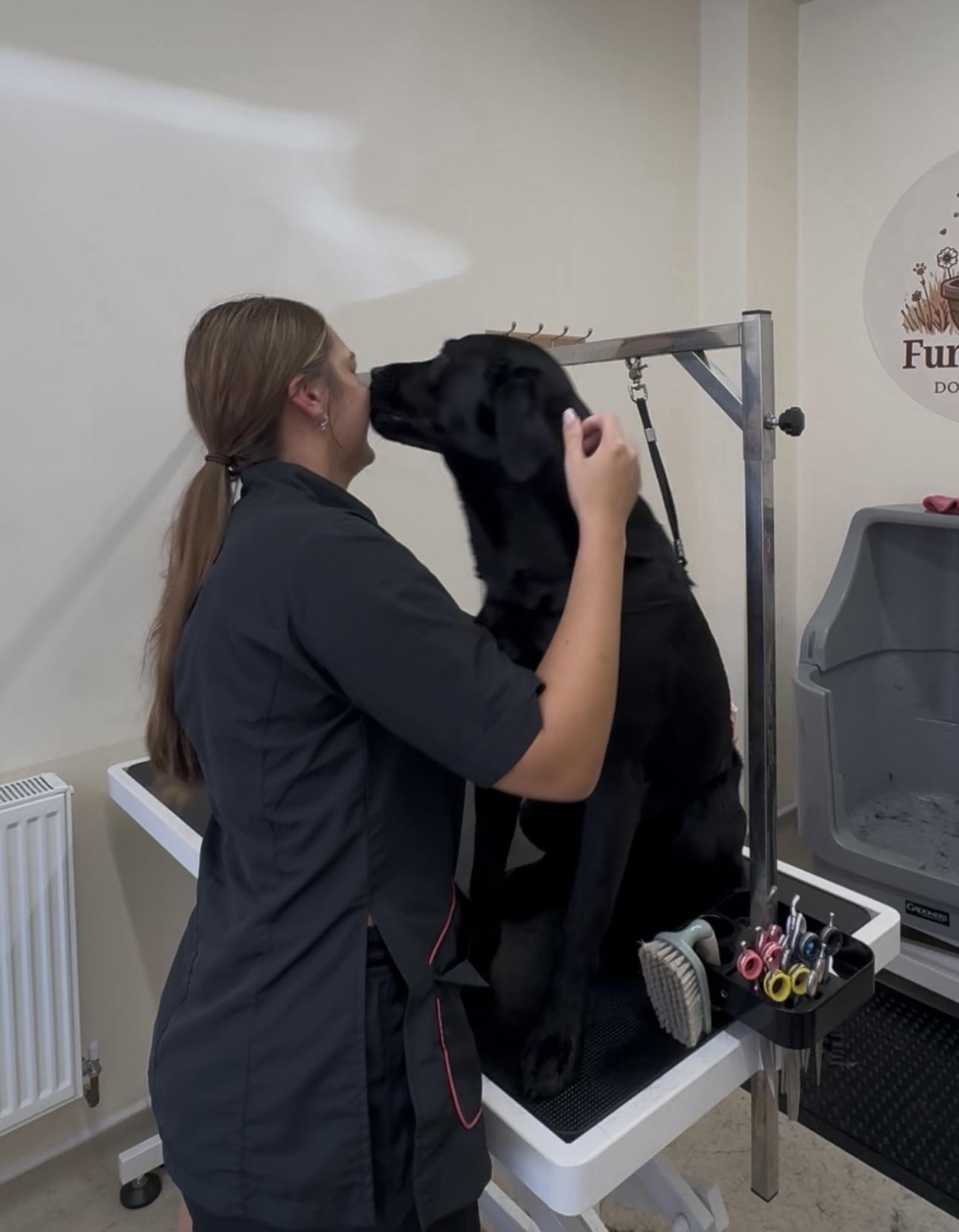 Annie with a black Labrador.