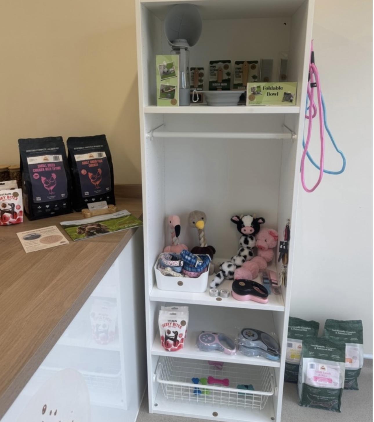 A carefully arranged selection of dog accessories and grooming products.